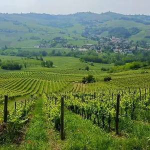 Oltrepo' Dimora Nei Vigneti Vicino A Ics Maugeri Casa vacanze Santa Maria della Versa